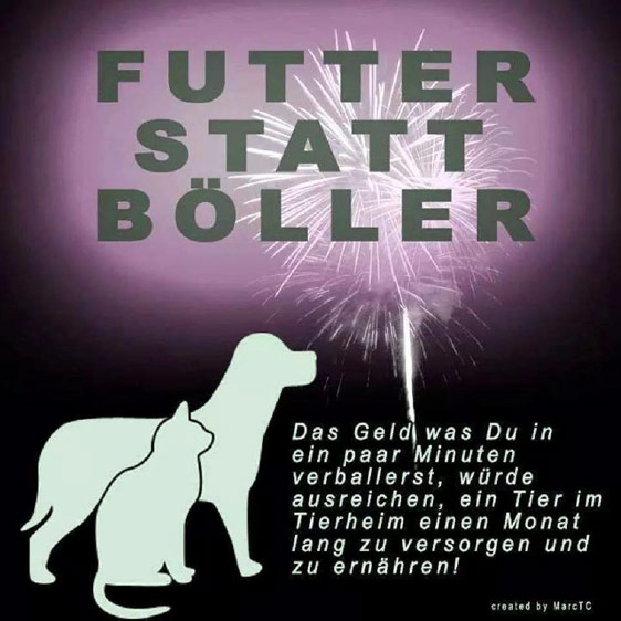 Die Knallerei zu Silvester