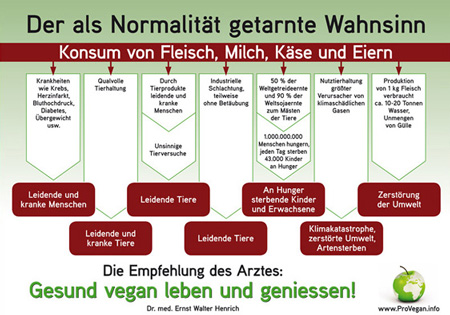 Der als Normalität getarnte Wahnsinn