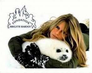 Bemerkenswerte Aussagen der Tierrechtlerin Brigitte Bardot in einem aktuellen Interview:
