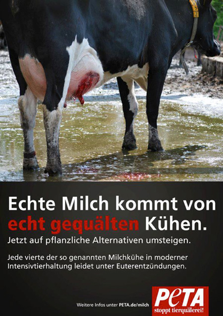 Der ethisch motivierte Vegetarier und der gesundheitlich motivierte Vegetarier