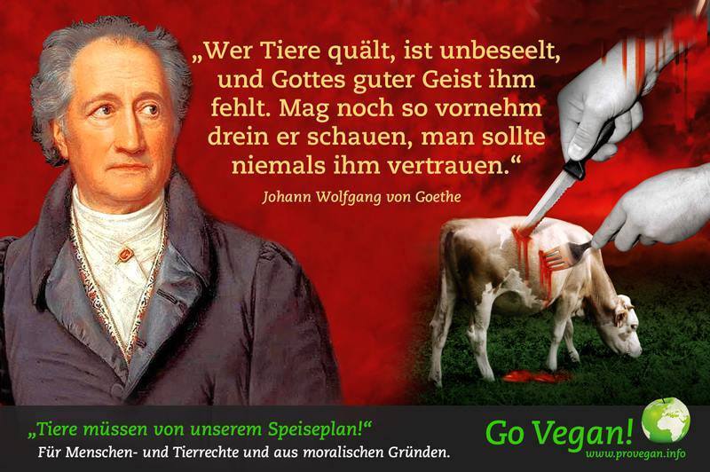 „Wer Tiere quält, ist unbeseelt und Gottes guter Geist ihm fehlt. Mag noch so vornehm drein er schauen, man sollte niemals ihm vertrauen.“ Johann Wolfgang von Goethe