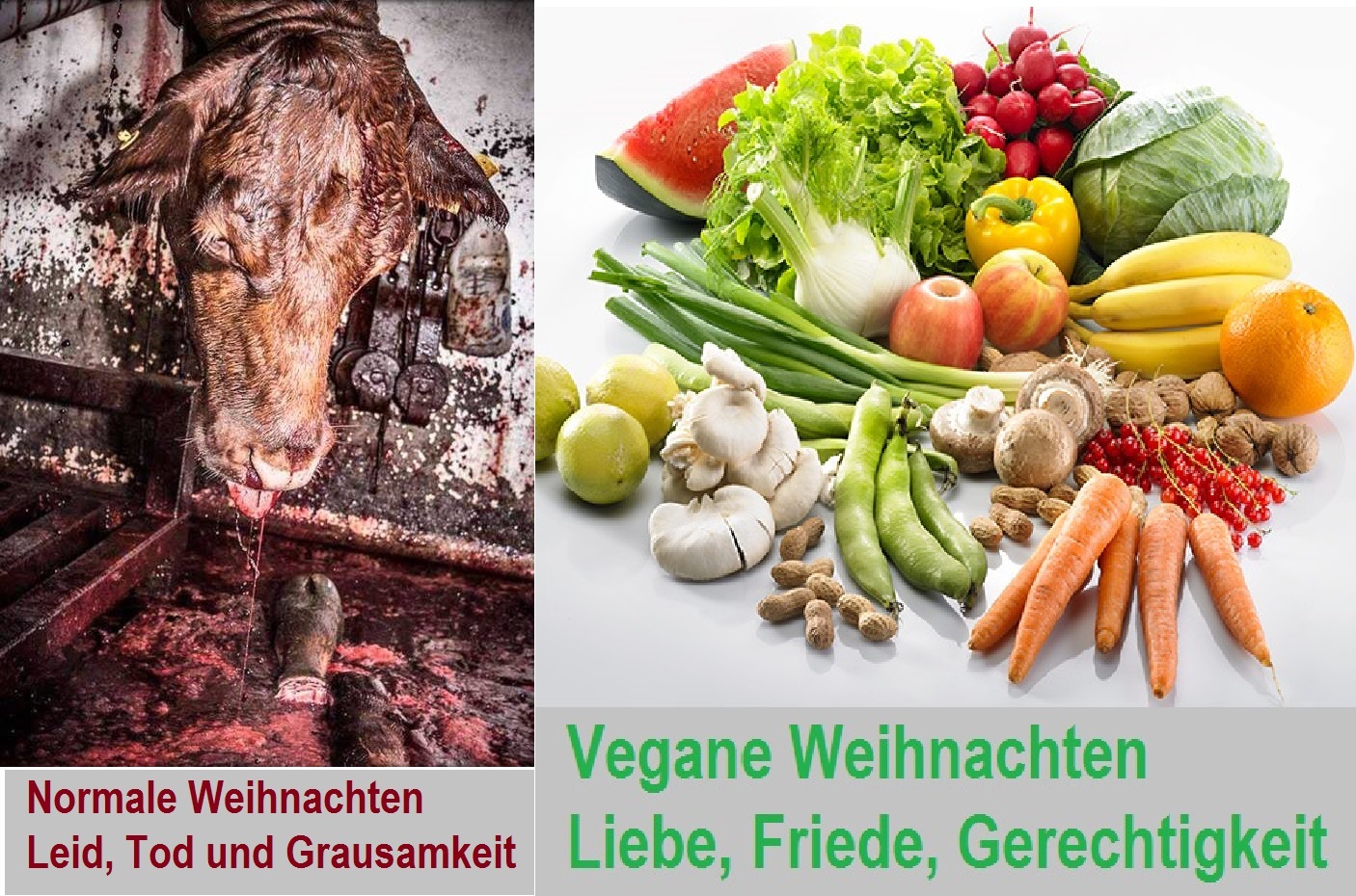 Frohe vegane Festtage! VeganBook